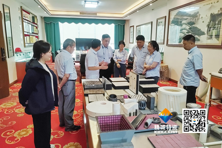 清华大学潘伟教授到访Z6尊龙特瓷