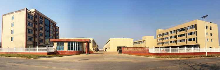 Z6·尊龙「中国区」官方网站